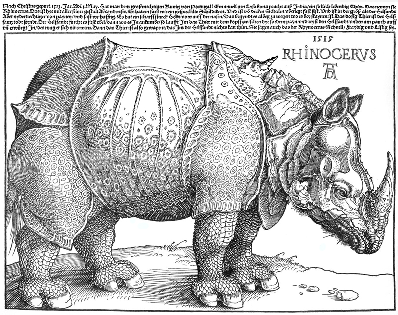 Dürer Rhinozeros Woodcut, Ernst Paulduro and Ursula Krabbe-Paulduro