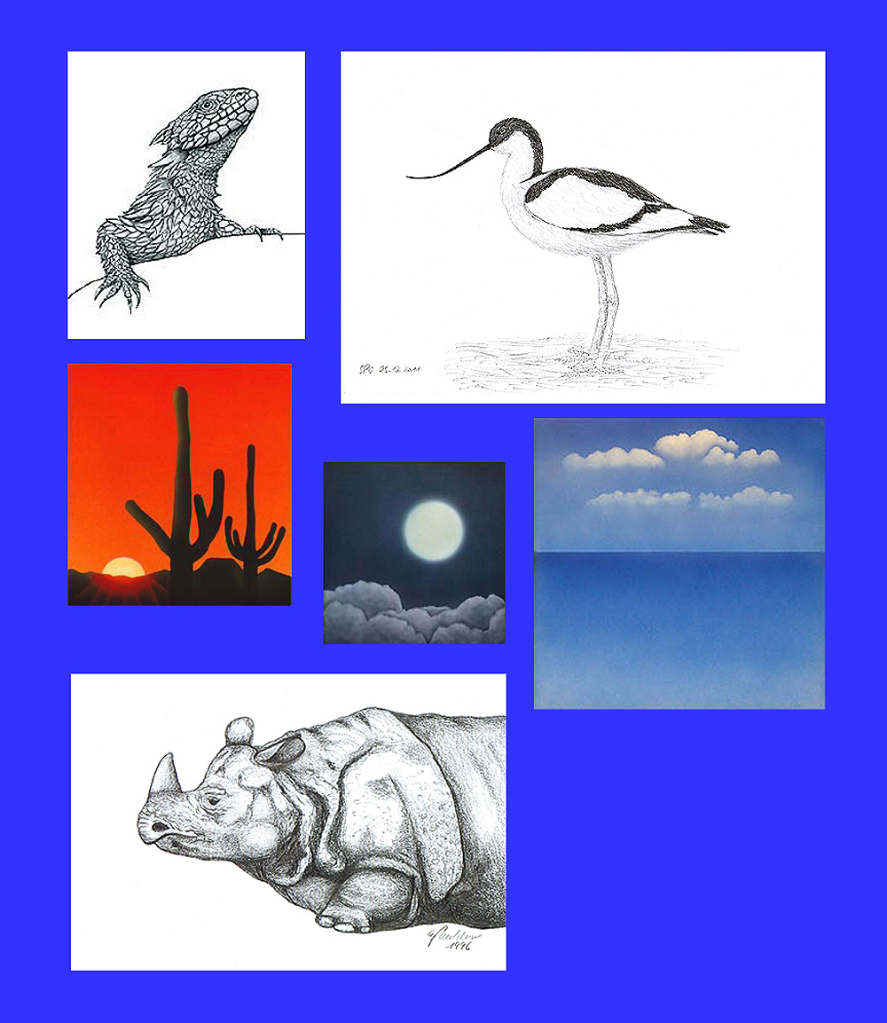 Gemälde und Zeichnungen, Riesengürtelschweif, Säbelschnäbler, Sonora Sonnenuntergang, Mond, Wolken Sanibel Island, Indisches Panzernashorn 