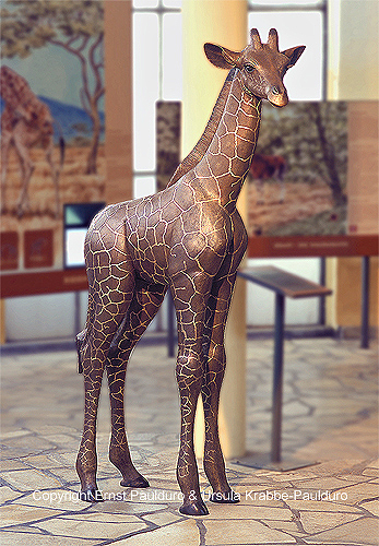 Reticulated Giraffe, juvenile, as a naturalistic and "life-like" bronze sculpture at Zoo Frankfurt
