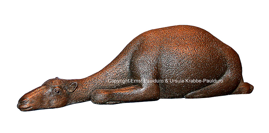 Dromedary juvenile in bronze by Ernst Paulduro and Ursula Krabbe-Paulduro
