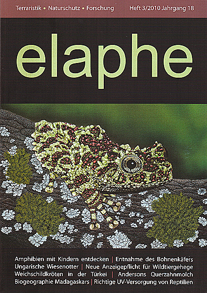 Titelbild "elaphe" Vietnamesischer Moosfrosch (Theloderma corticale), Gemlde in Acryl auf Leinwand   
