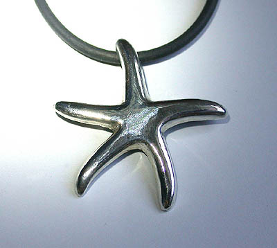 Seestern als Anhnger in Silber - Starfish as pendant in silver